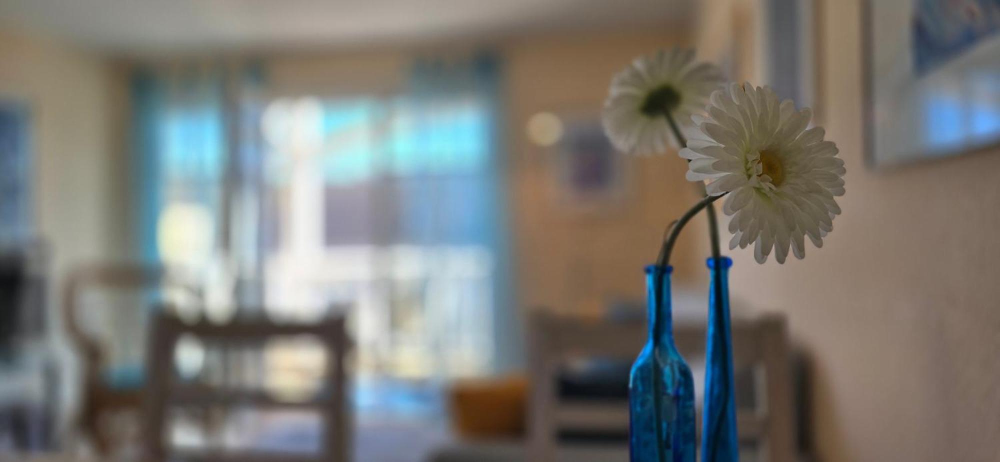 Ferienwohnung T3 グラール・ミューリッツ エクステリア 写真